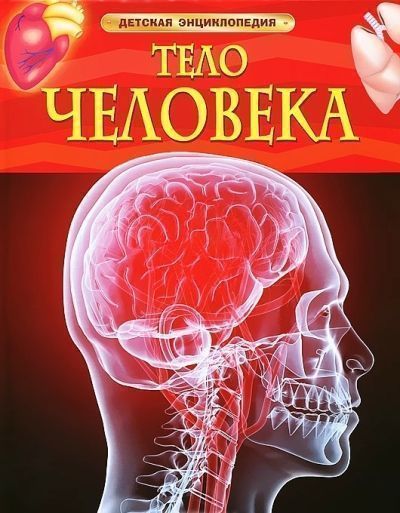 Тело человека.jpg