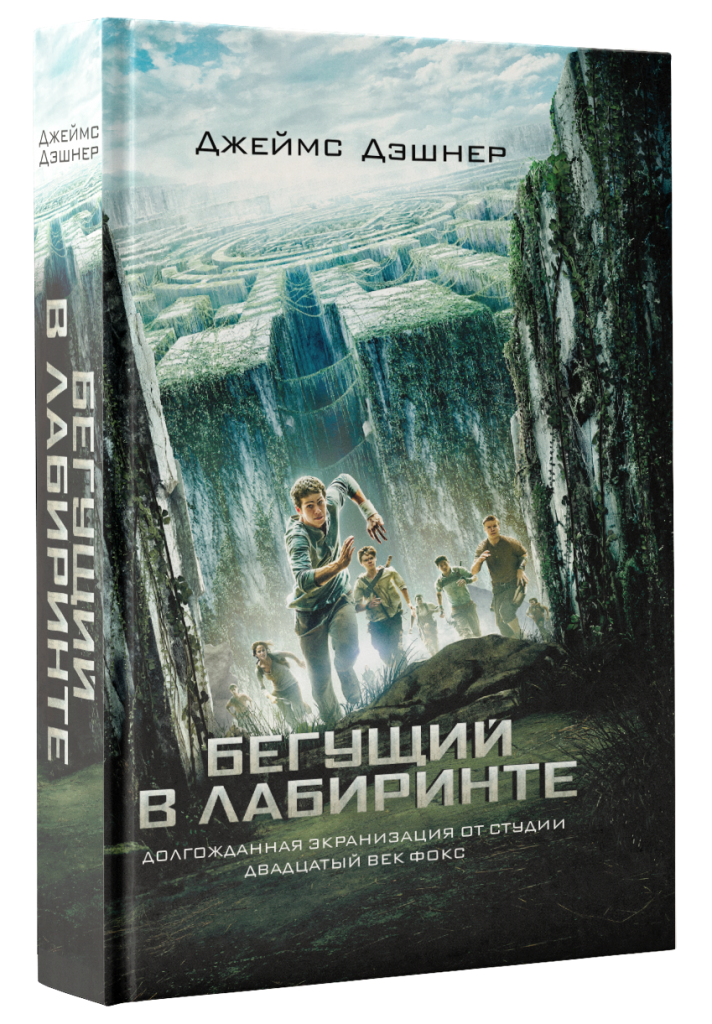 бегущий в лабиринте.png